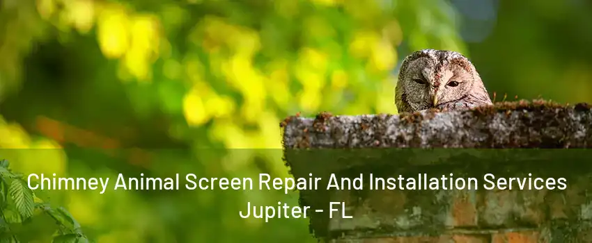 Chimney Animal Screen Repair And Installation Services Jupiter - FL