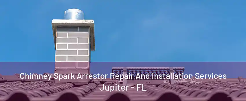 Chimney Spark Arrestor Repair And Installation Services Jupiter - FL