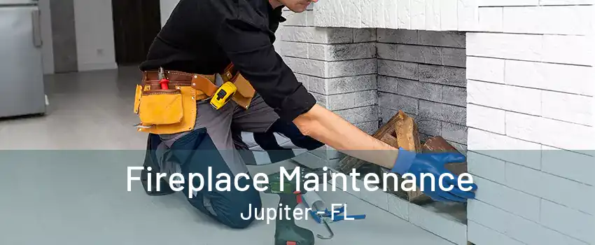 Fireplace Maintenance Jupiter - FL