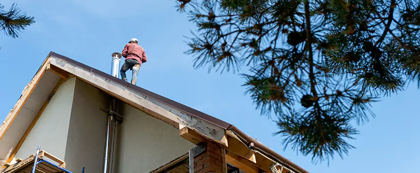 Birds Removal Contractors from Chimney in Jupiter, FL